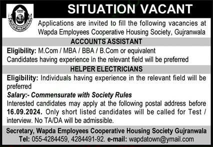 Accounts Assistant